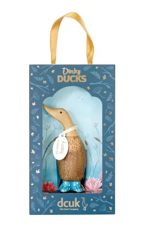 Dinky Ducks